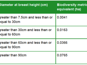 How to Fill Out the Biodiversity Metric Sheet Like a Pro