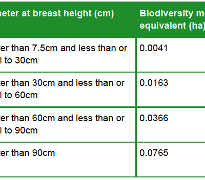 How to Fill Out the Biodiversity Metric Sheet Like a Pro